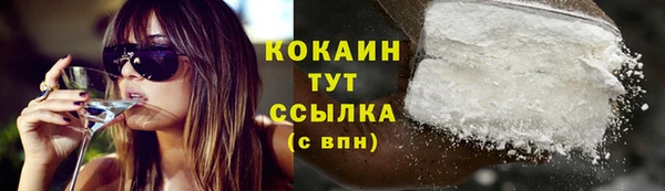 МДПВ Вяземский