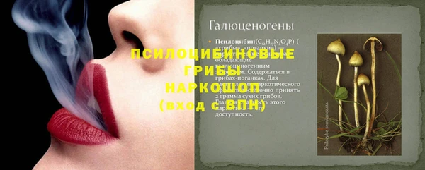 МДПВ Вяземский