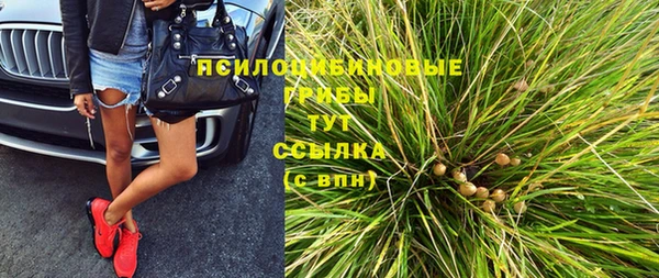 МДПВ Вяземский
