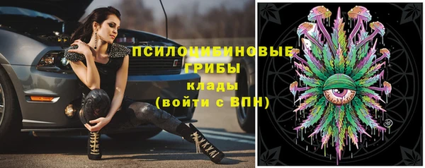 СК Вязники
