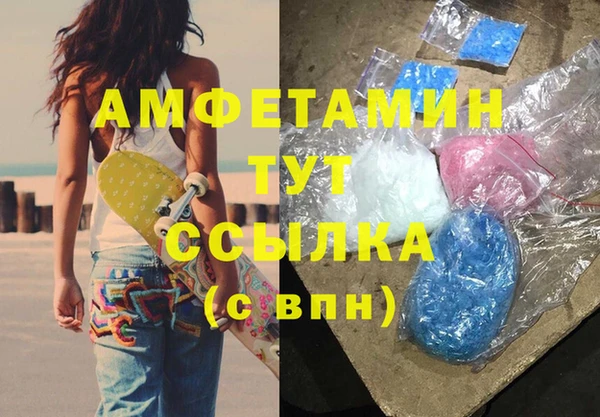 МДПВ Вяземский