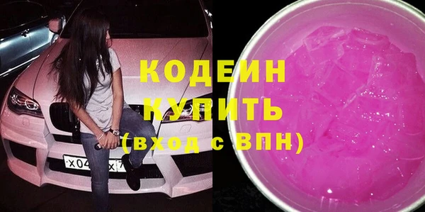МДПВ Вяземский