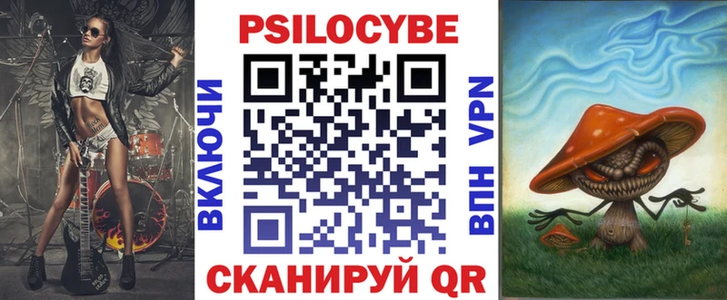 Купить закладки  Татарск  Псилоцибиновые грибы мицелий 